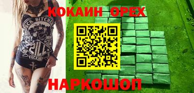 a pvp Камышлов