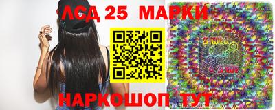 спиды Кандалакша