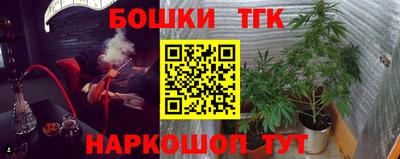 a pvp Камышлов