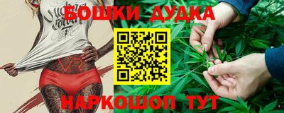 a pvp Камышлов