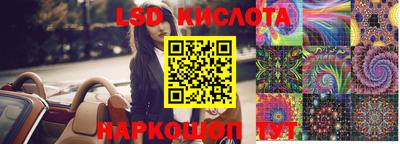 a pvp Камышлов