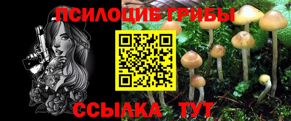 Галлюциногенные грибы GOLDEN TEACHER  Псилоцибиновые грибы прущие грибы  наркошоп  Кубинка  Вход с VPN 